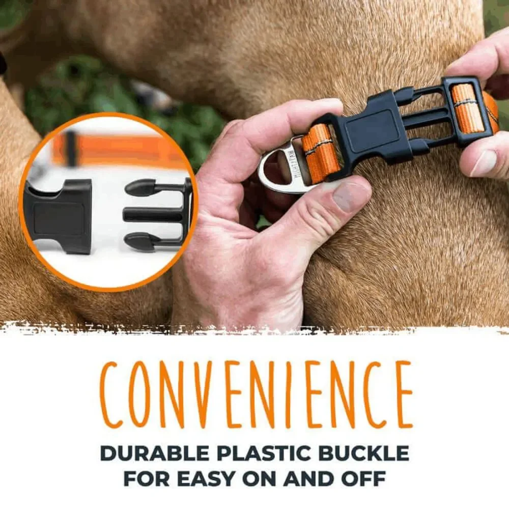NWT Mighty Paw Orange Martingale Dog Collar 2.0